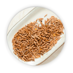 Cumin Oleoresin