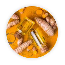 Curcuma Oil